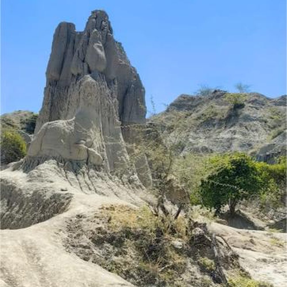 image00001 (2)