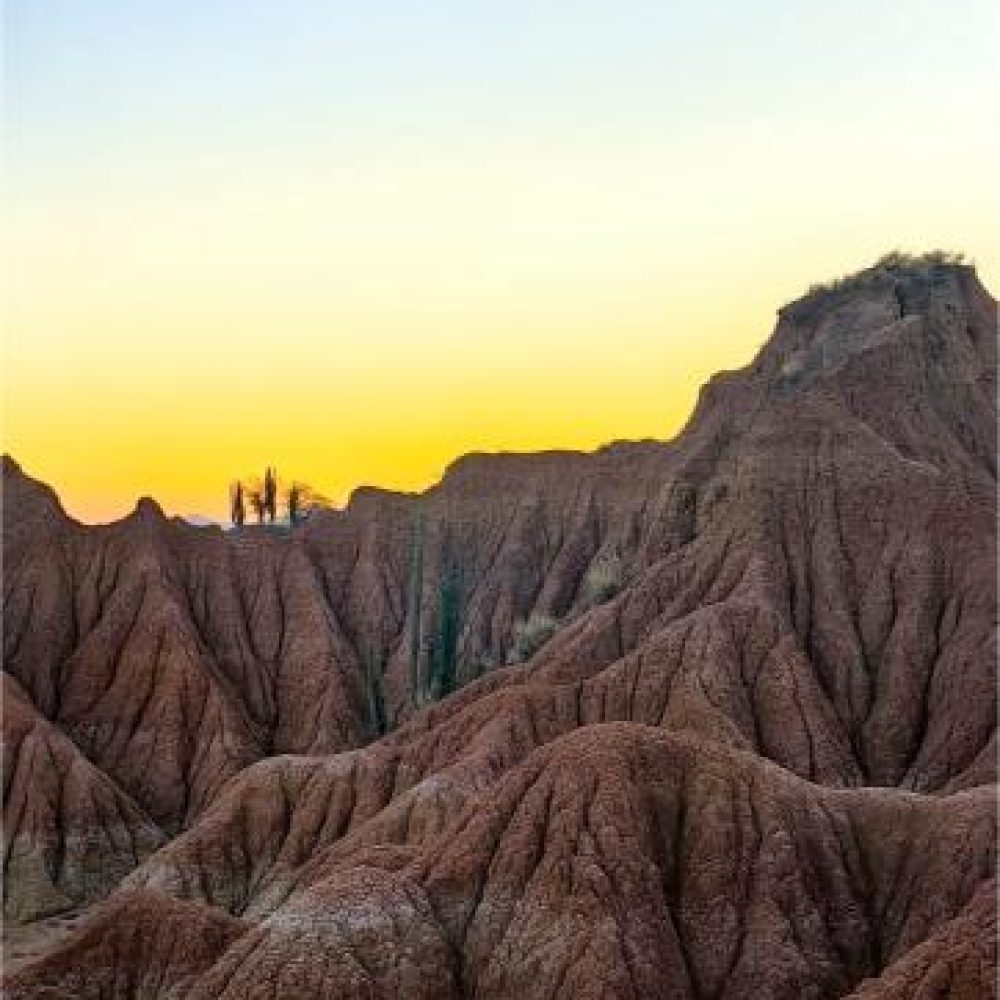 image00001 (3)