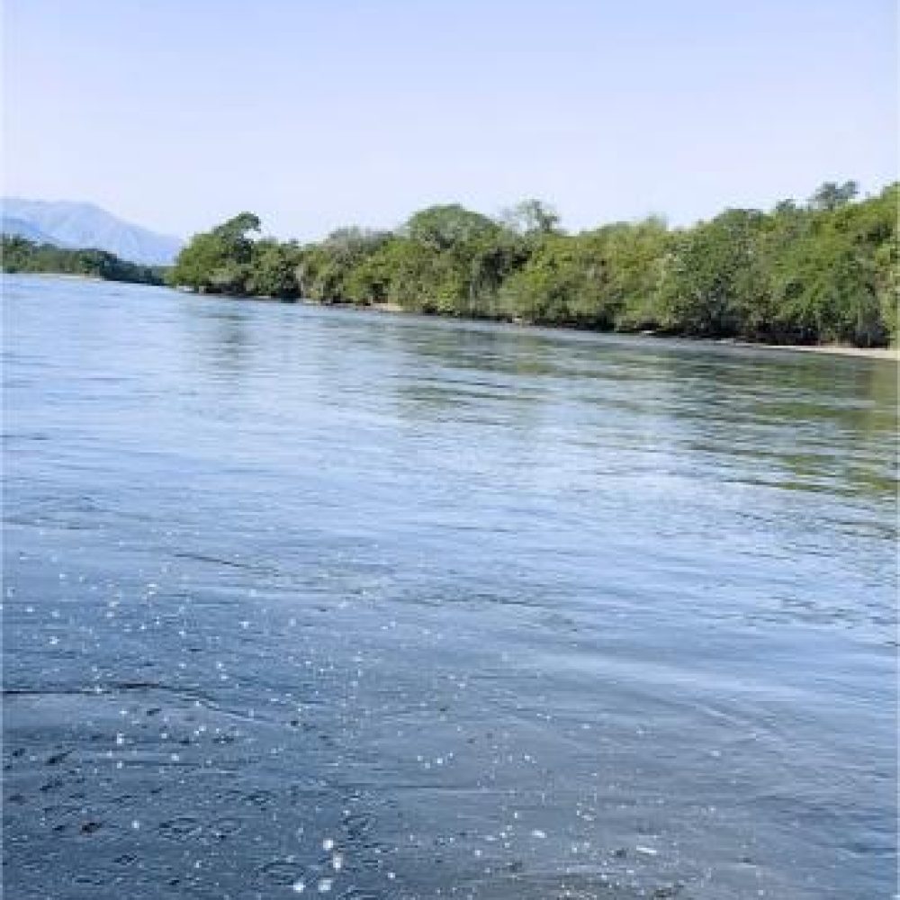 image00003 (2)