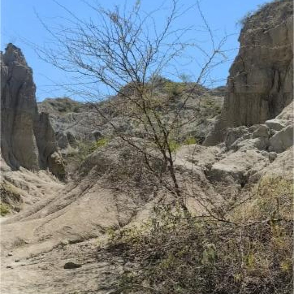 image00004 (2)