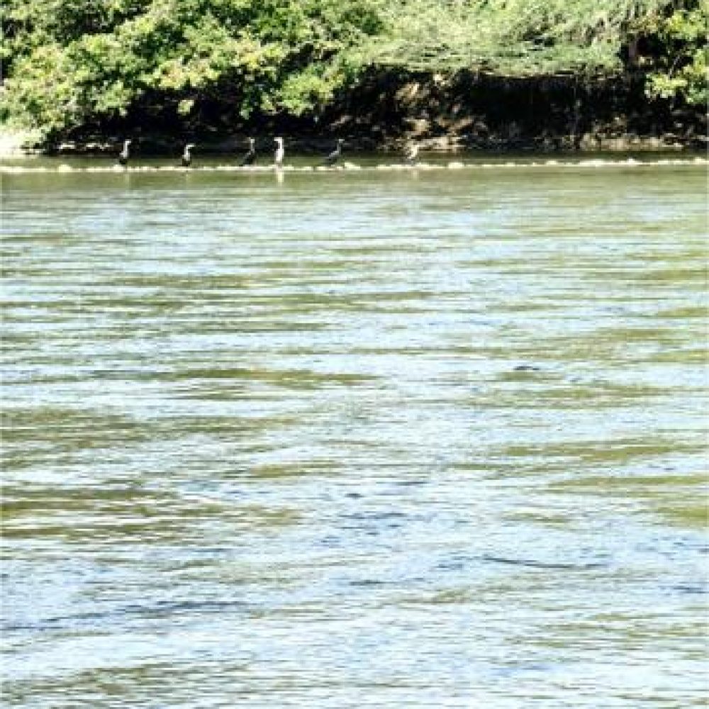 image00005 (2)