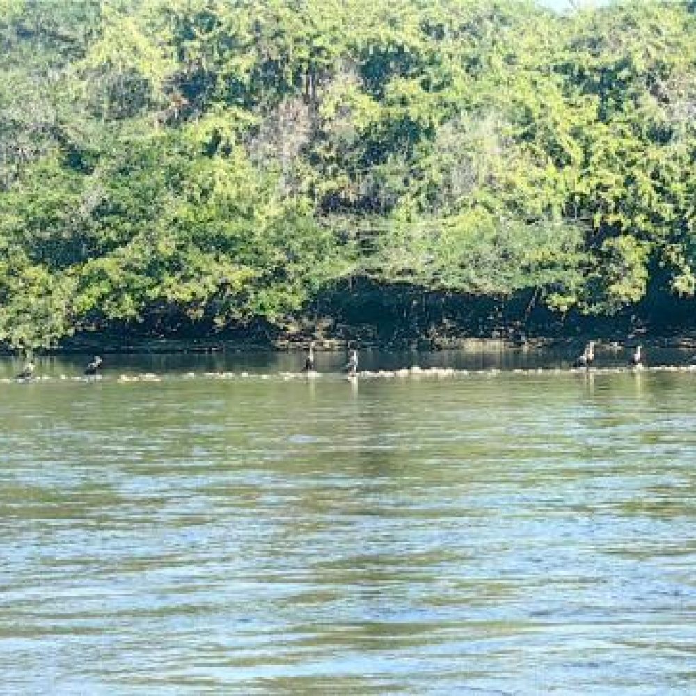 image00006 (2)