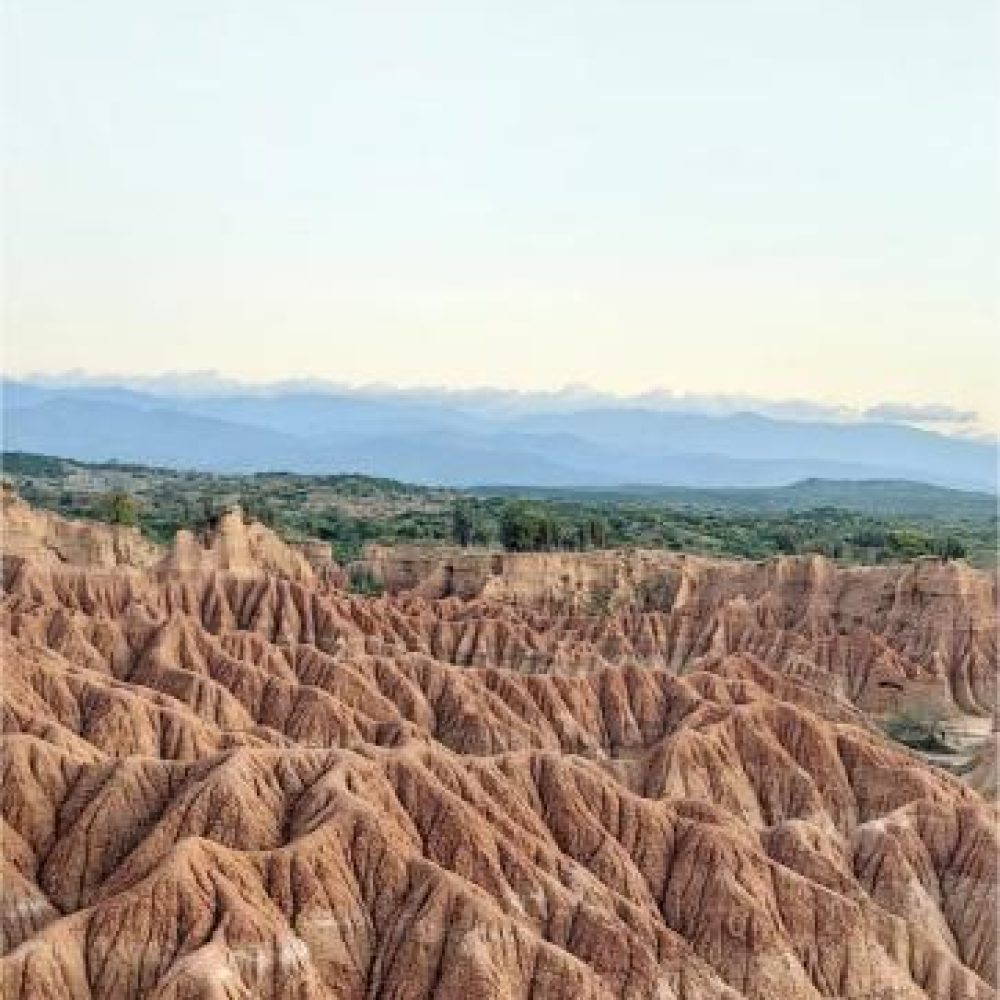 image00008 (3)