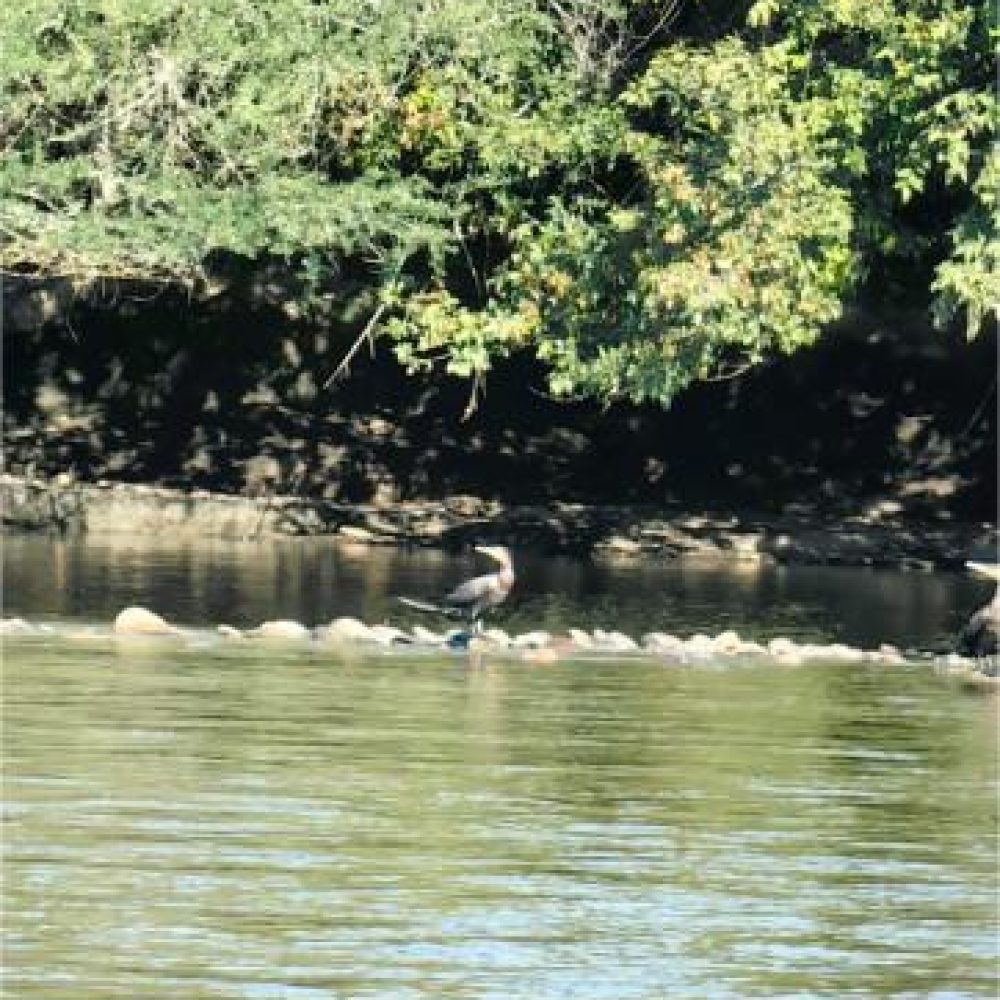 image00009 (2)