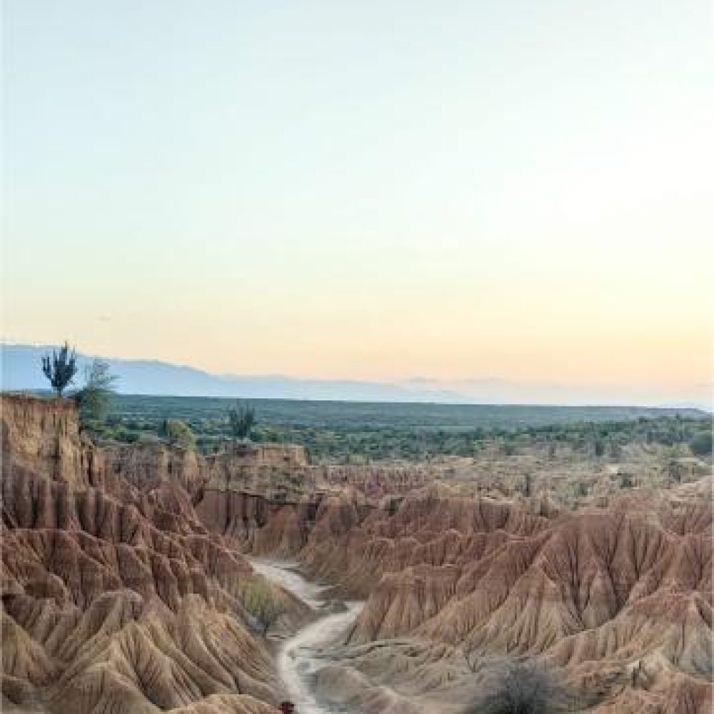 image00012 (3)