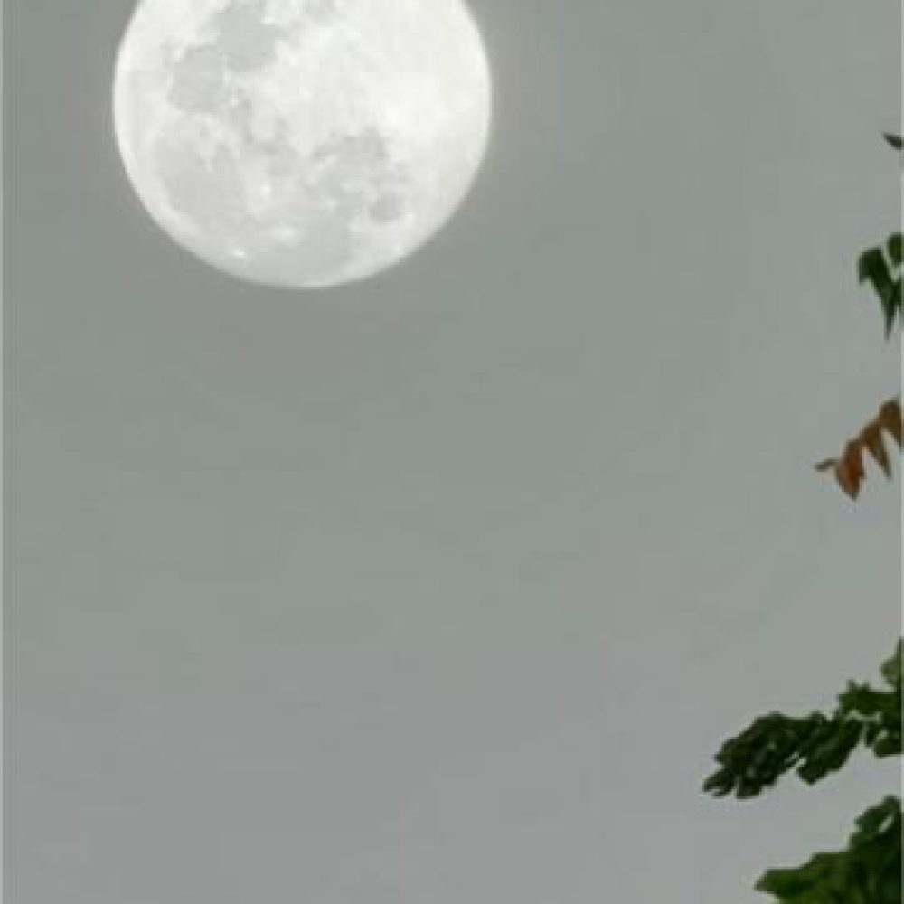 image00016