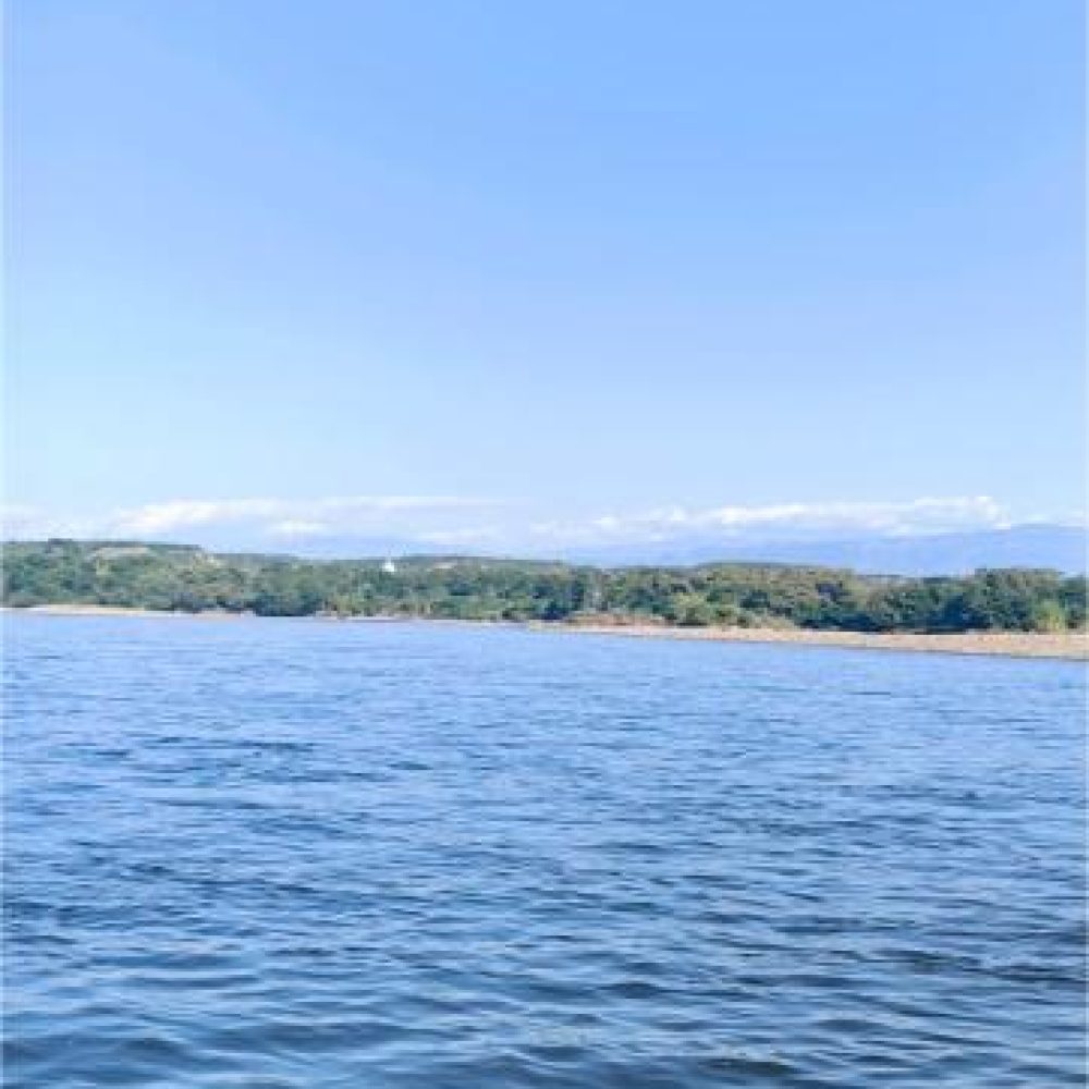 image00019 (2)