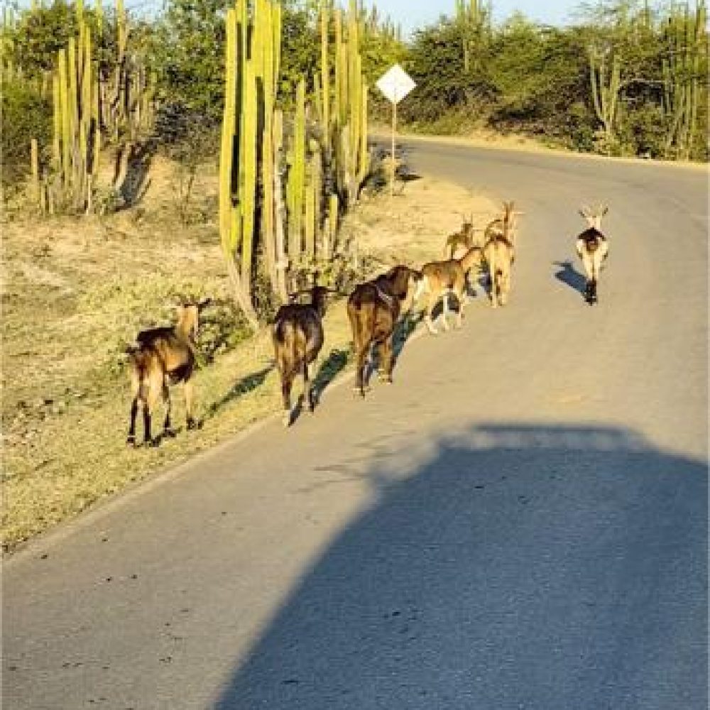 image00022 (2)