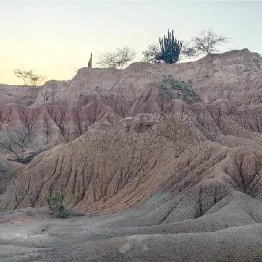 image00025 (3)