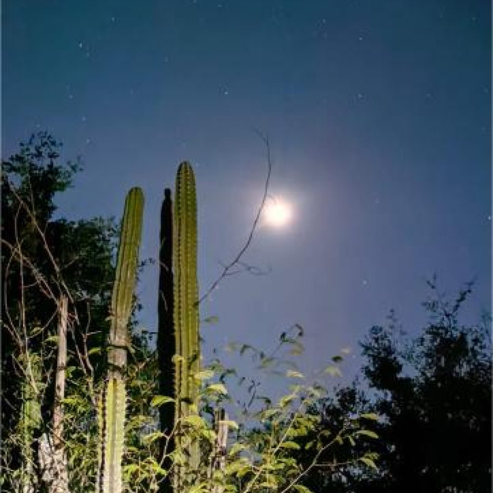 image00025