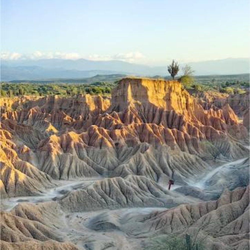 image00026 (2)