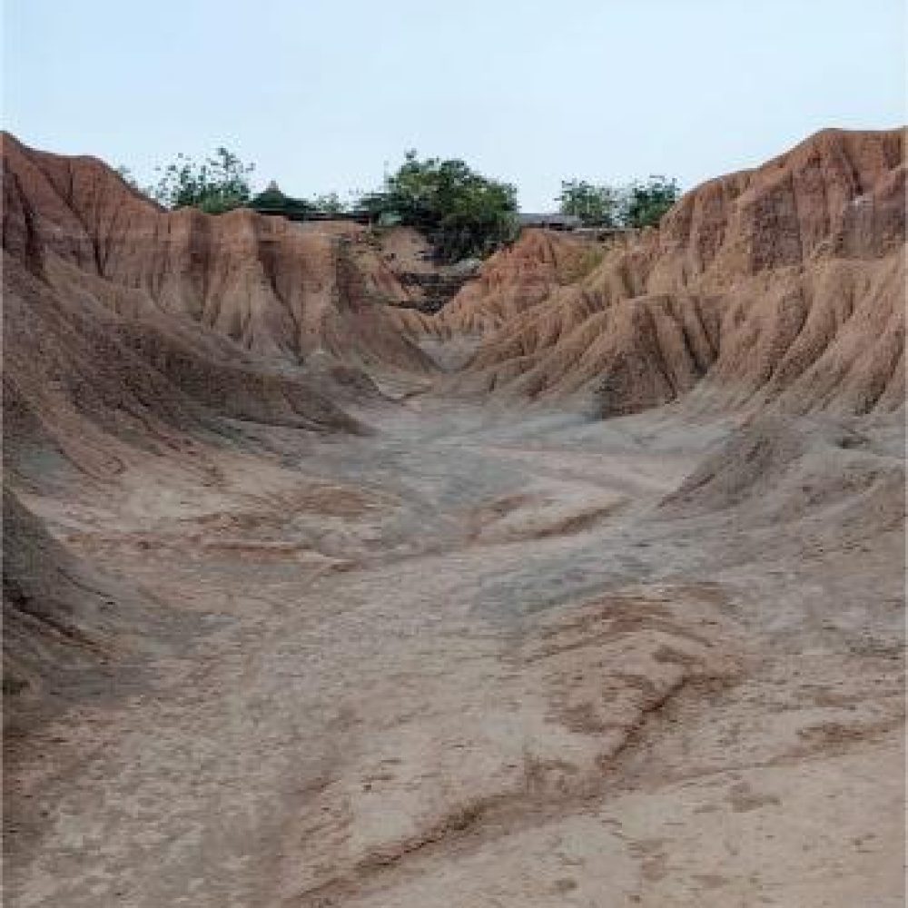 image00029 (3)