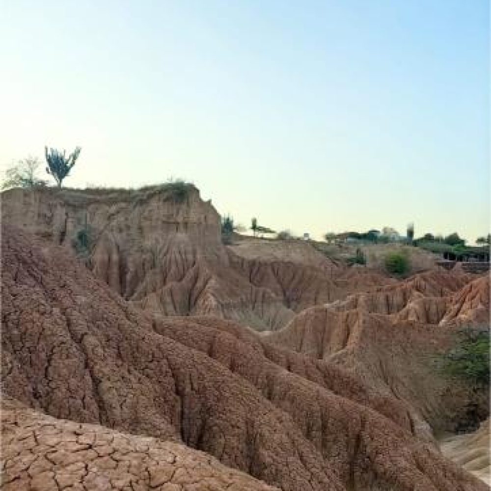 image00032 (3)