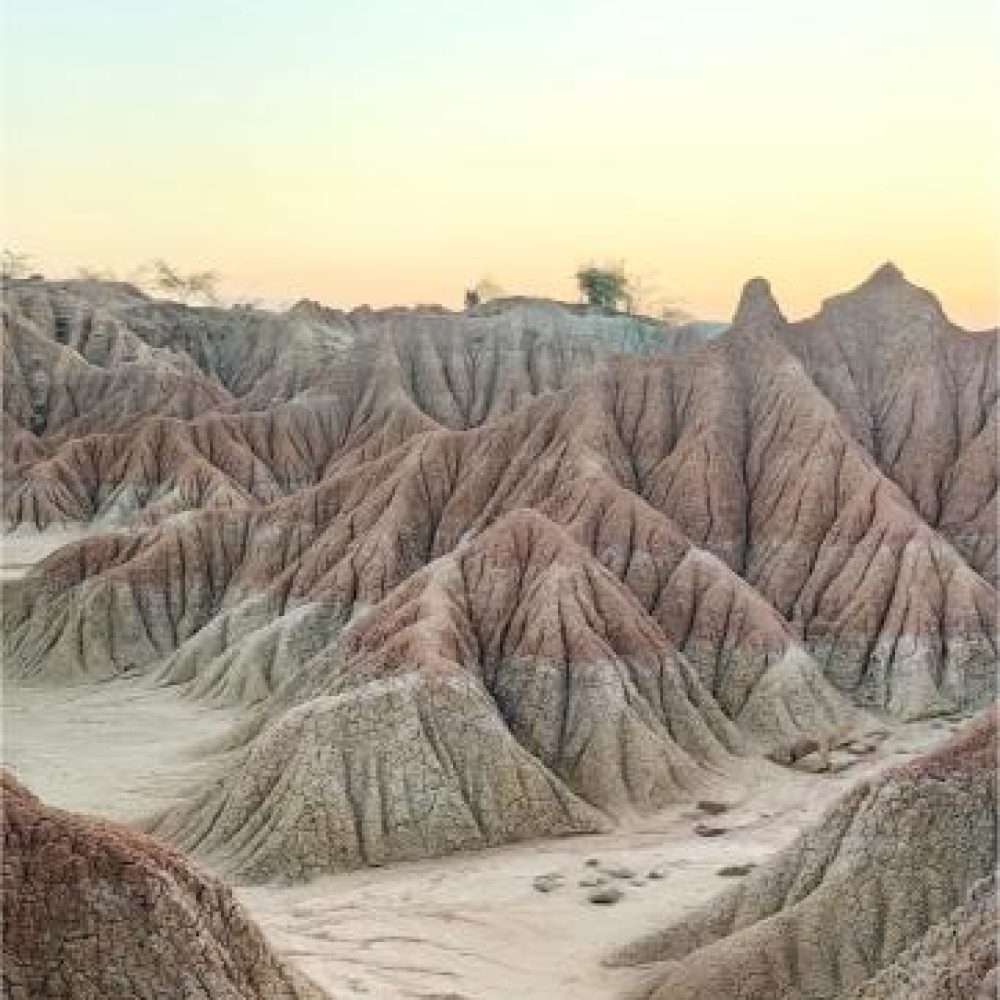 image00041 (3)