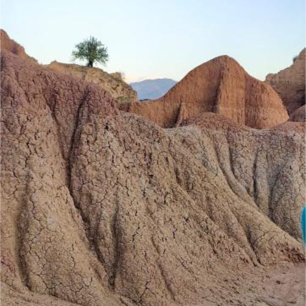 image00042 (3)