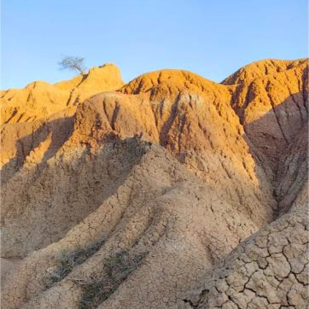 image00047 (2)
