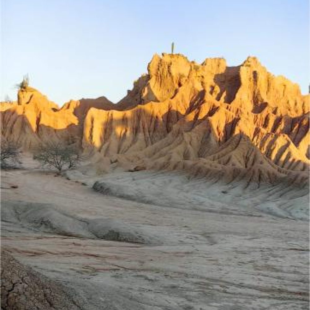 image00050 (2)